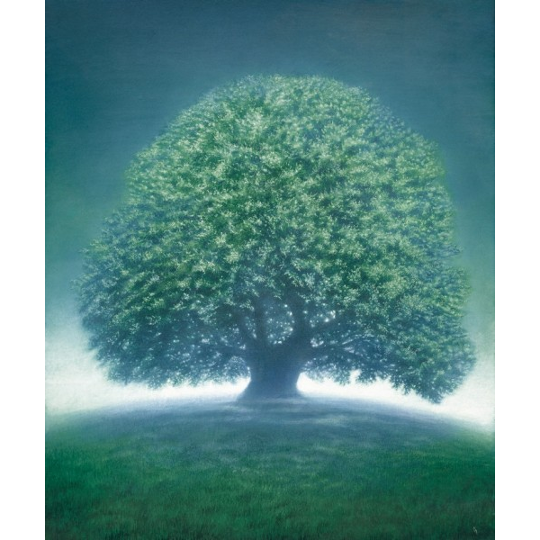 Sauna öffnungszeiten in hessen Lebensbaum - Kunsthalle Schloss Isny